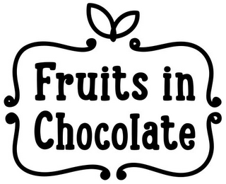 FRUITS IN CHOCOLATE logo