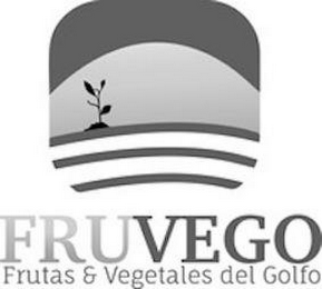FRUVEGO FRUTAS & VEGETALES DEL GOLFO logo