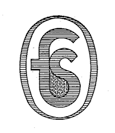 FS logo