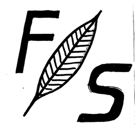 FS logo