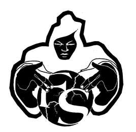 FS logo
