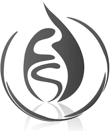FS logo