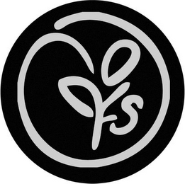 FS logo