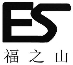 FS logo