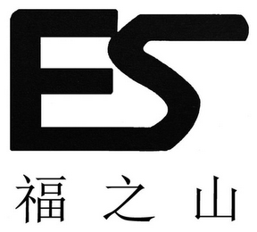 FS logo