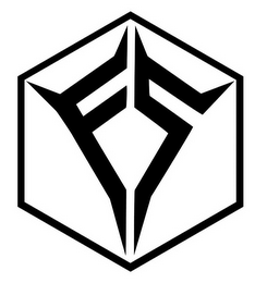 FS logo