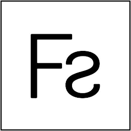 FS logo