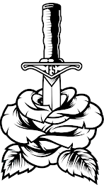 FS logo