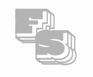 FS logo