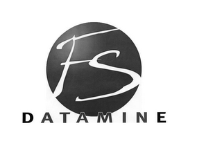 FS DATAMINE logo