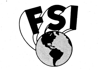 FSI logo