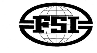 FSI logo