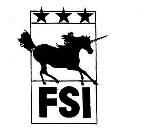 FSI logo