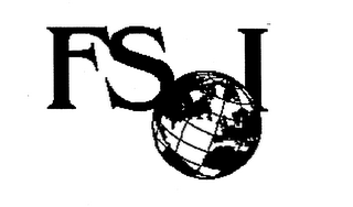 FSI logo