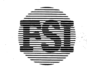 FSI logo