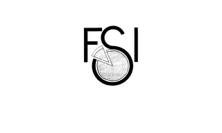 FSI logo