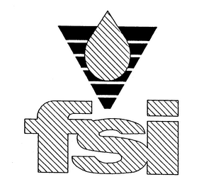 FSI logo