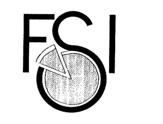 FSI logo