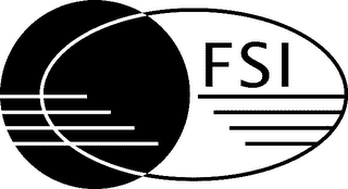 FSI logo