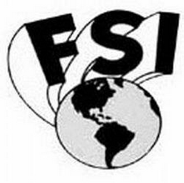 FSI logo