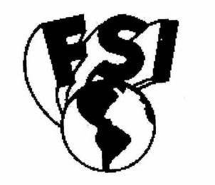 FSI logo