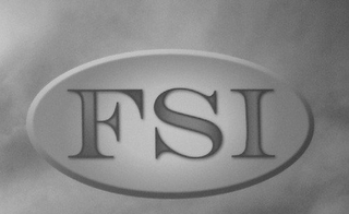 FSI logo