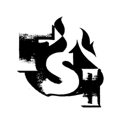 FSI FIRE SAFE INTERNATIONAL logo