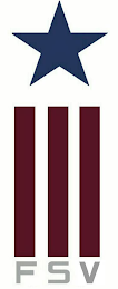 FSV logo