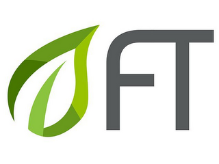FT logo