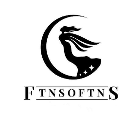 FTNSOFTNS logo