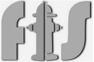 FTS logo