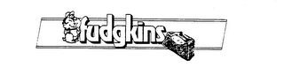 FUDGKINS
