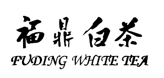 FUDING WHITE TEA logo