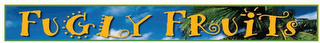 FUGLY FRUITS logo