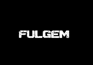 FULGEM logo
