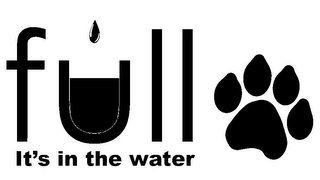 FULL IT'S IN THE WATER logo