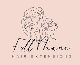 FULL MANE HAIR EXTENSIONS logo