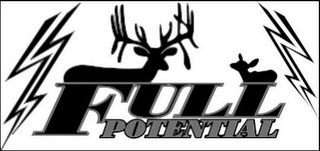 FULL POTENTIAL logo