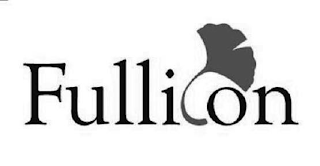 FULLICON logo