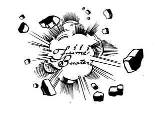 FUME BUSTER logo