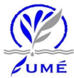 FUMÉ logo