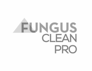 FUNGUS CLEAN PRO logo