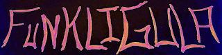 FUNKLIGULA logo