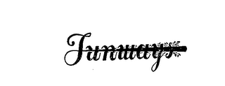 FUNWAYS logo
