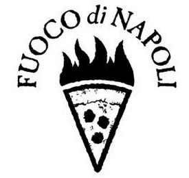 FUOCO DI NAPOLI logo