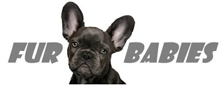 FUR BABIES logo