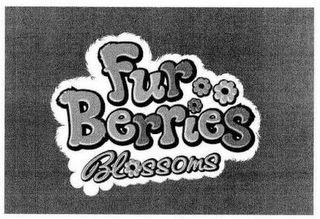 FUR BERRIES BLOSSOMS logo
