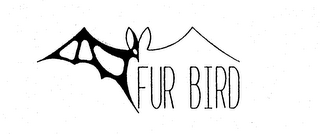FUR BIRD logo