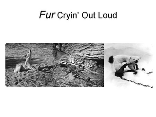 FUR CRYIN' OUT LOUD logo