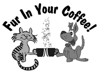 FUR IN YOUR COFFEE! logo